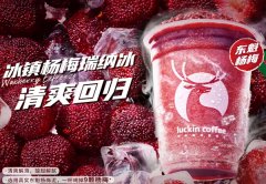 瑞幸咖啡品牌怎么样？两大经营问题要避免